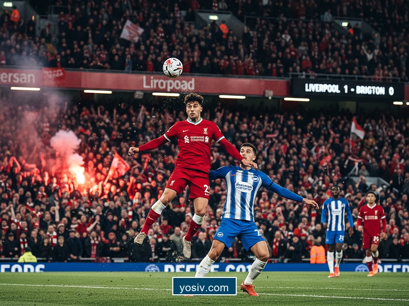 Milos Kerkez interview: Why the game with Brighton is 'really important' for Liverpool